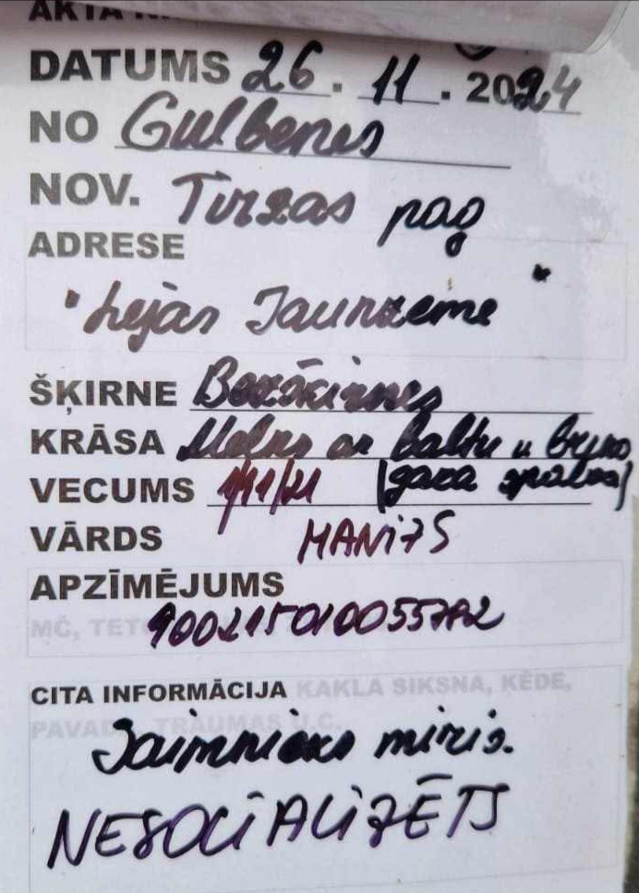 Вот такие собаки после смерти хозяина оказались в «приюте» Межавайроги под Новый год!